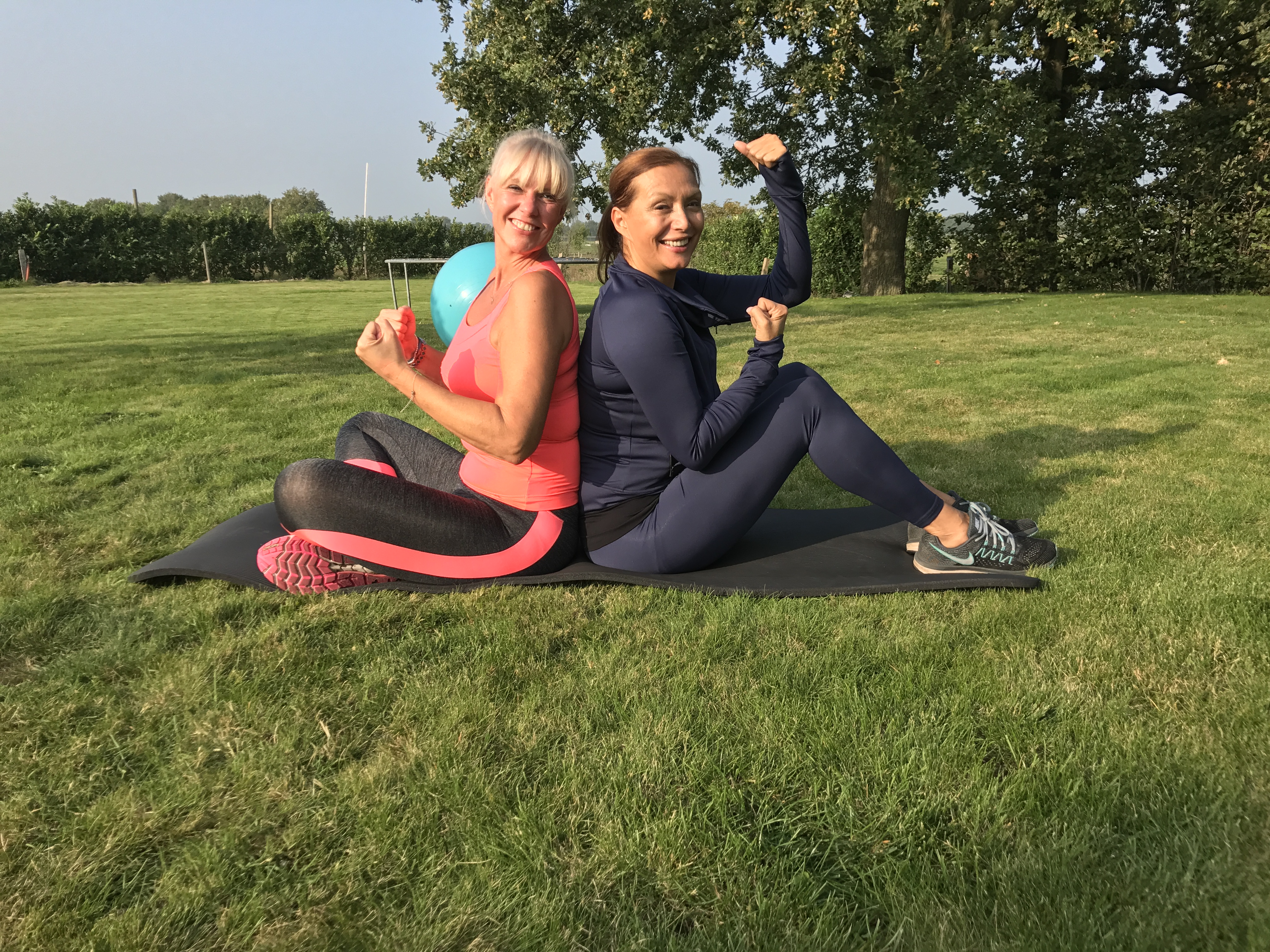 Trainen dmv dagdagelijkse beweging imiteren?...