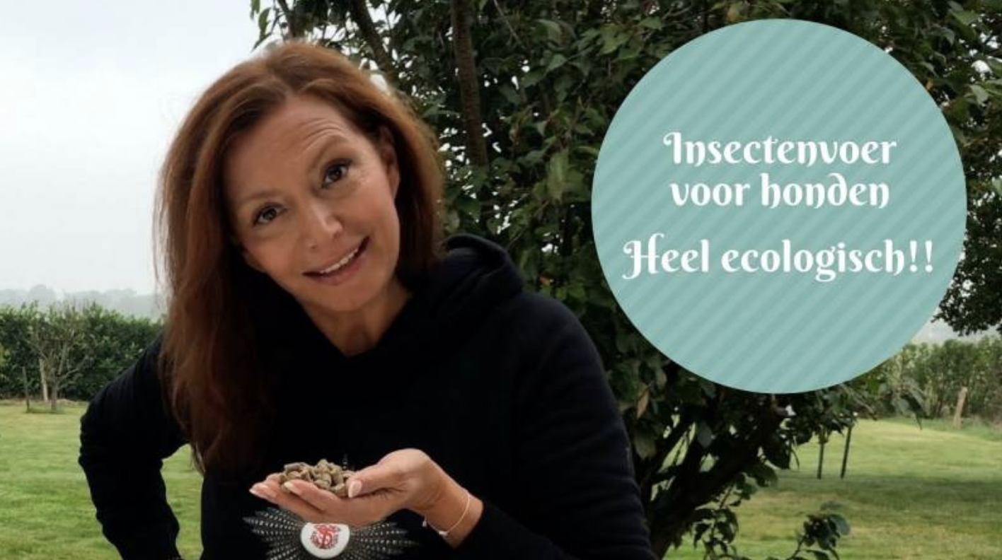Hoe krijg je je hond gezonder én ecologischer ?...