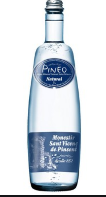 Water = detox = happy you !!