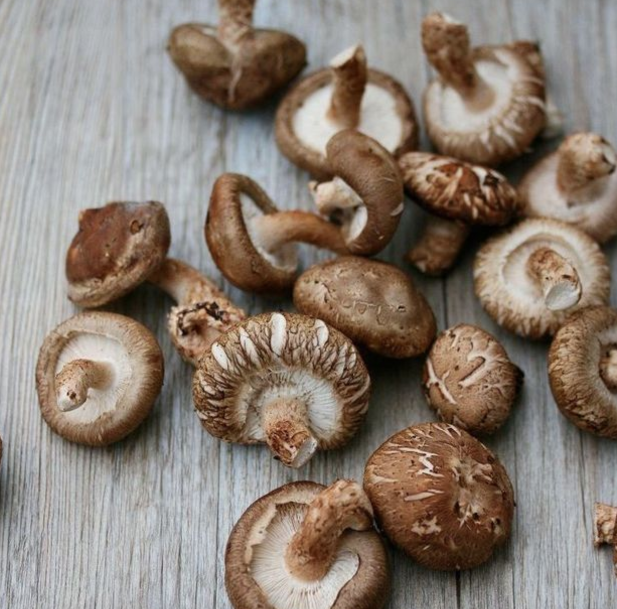 Je weerstand omhoog ? Da's simpel ..