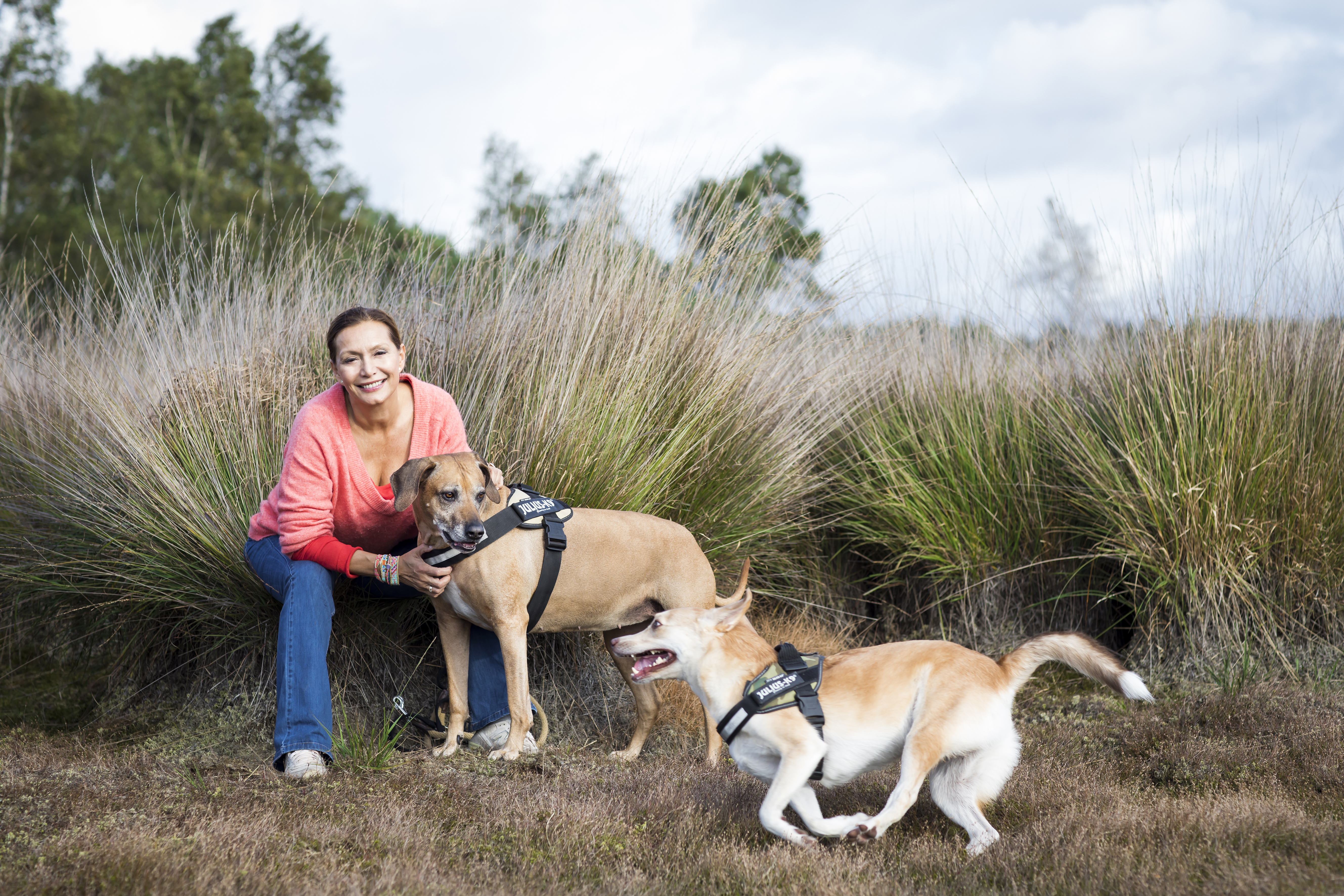 Hoe maak je je hond gelukkig ?..